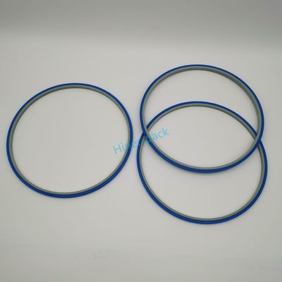comprare ODM Silicon Wafer Hoop Ring Grigio e Blu RoHS Certificato Wafer Type Accessori online manufacture
